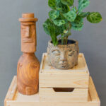 Maranta Kerchoveana Variegata