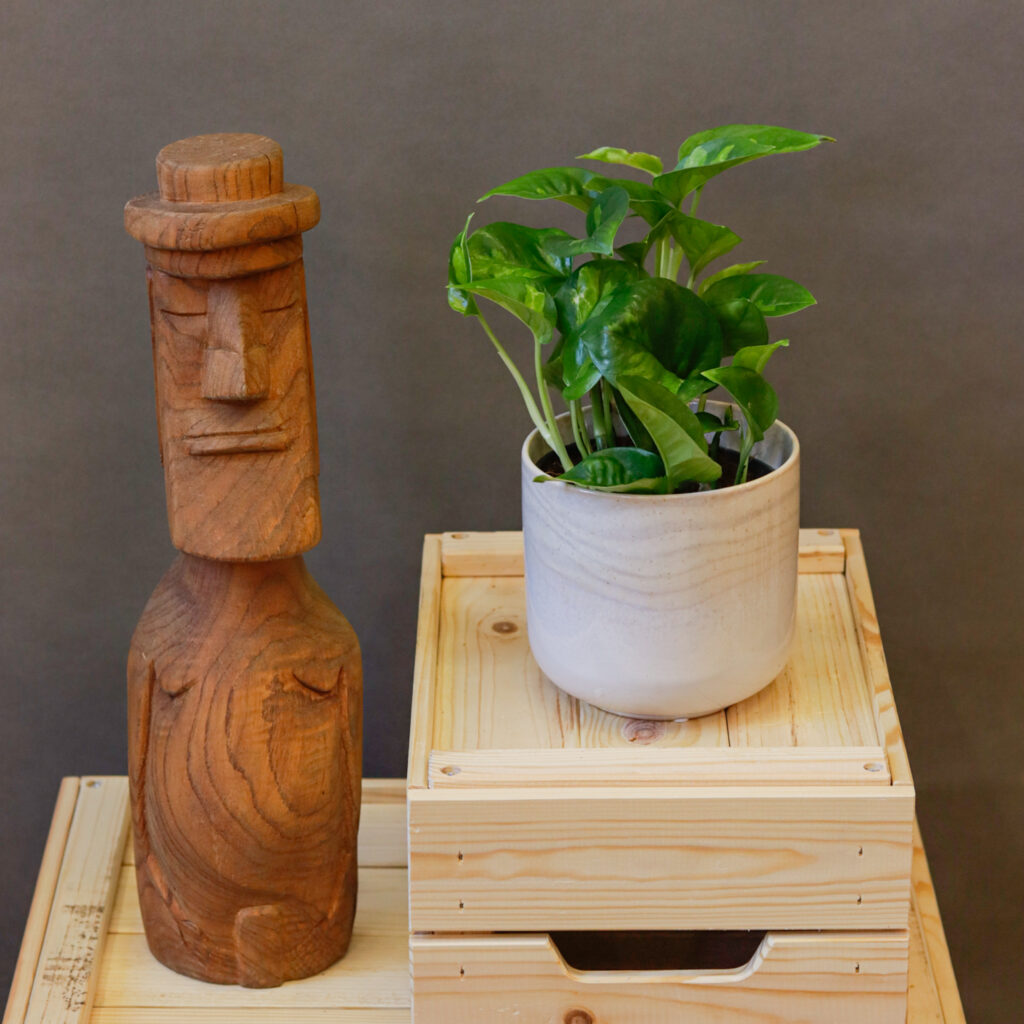 Epipremnum Global Green