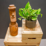 Epipremnum N'Joy Gold
