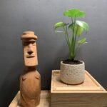Monstera Deliciosa