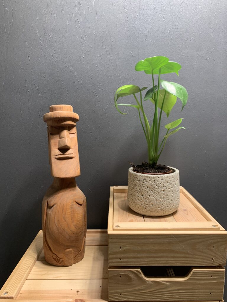 Monstera Deliciosa