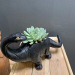 Brontosaurus