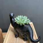 Brontosaurus
