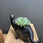 Brontosaurus