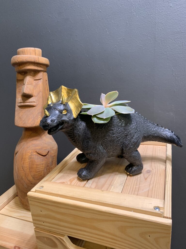 Triceratops