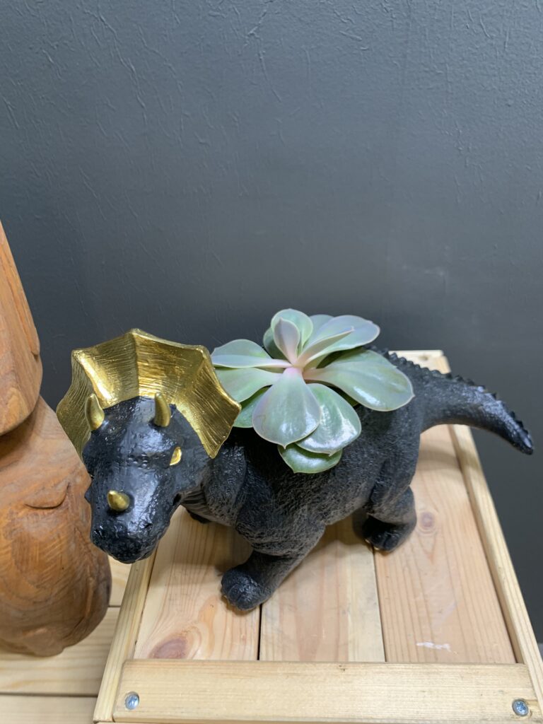 Triceratops