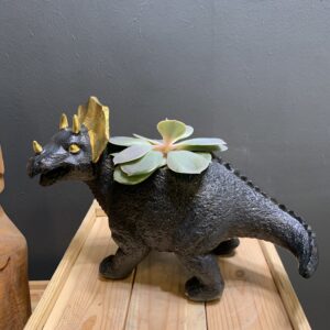 Triceratops