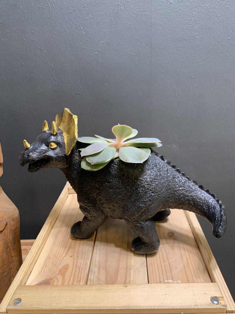 Triceratops