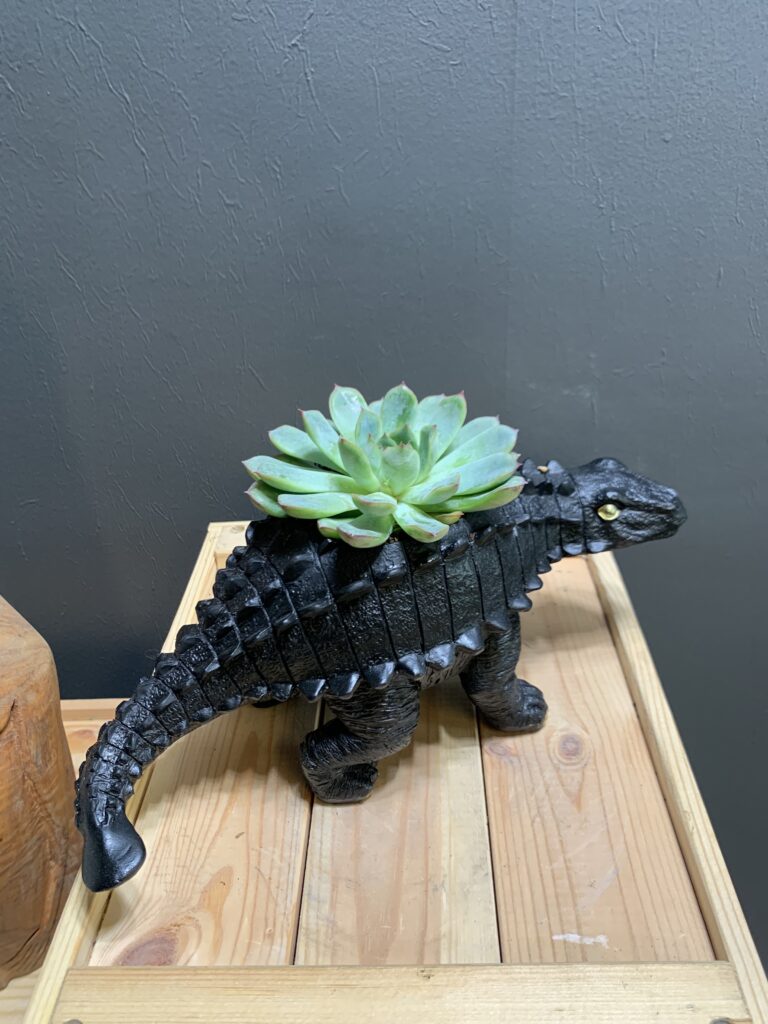 Ankylosaurus