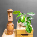 Philodendron Squamiferum