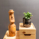 Syngonium Black Panther 12cm