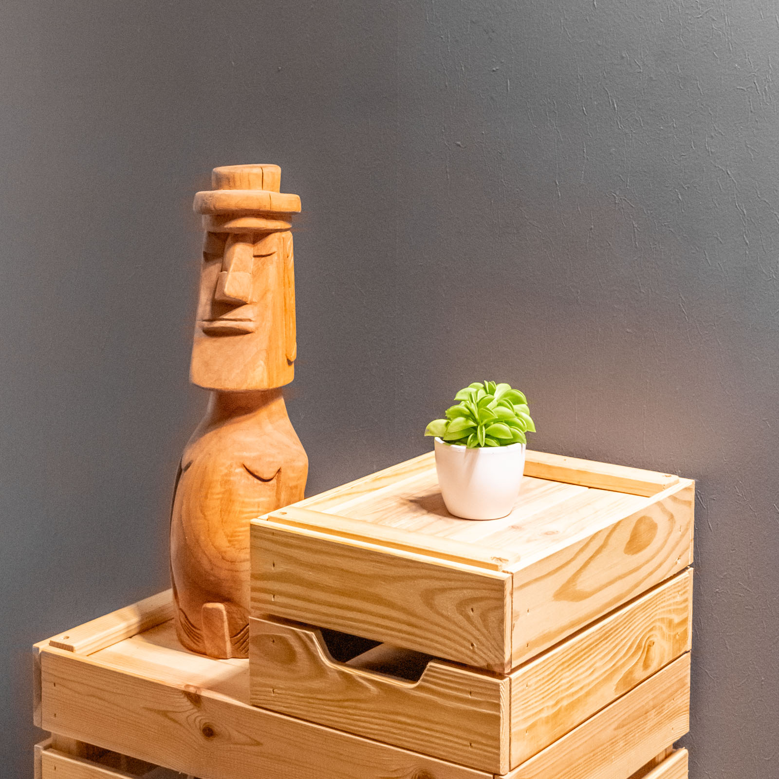 Peperomia Fire Sparks 6cm - Image 3