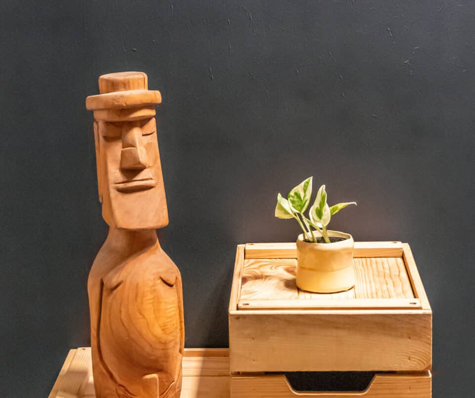 Epipremnum N’Joy 6cm