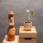 Alocasia Zebrina Variegata 10cm