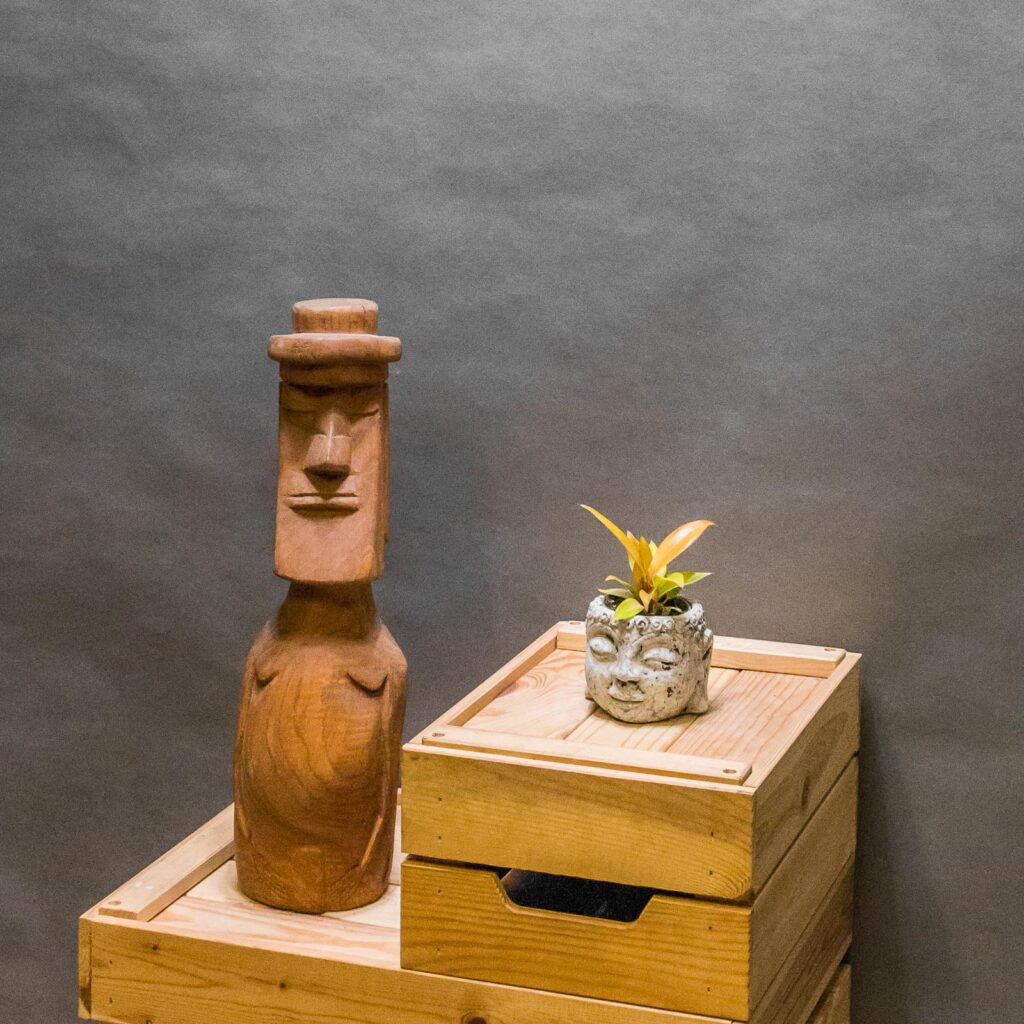 Philodendron Prince of Orange 6cm