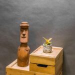 Philodendron Prince of Orange 6cm