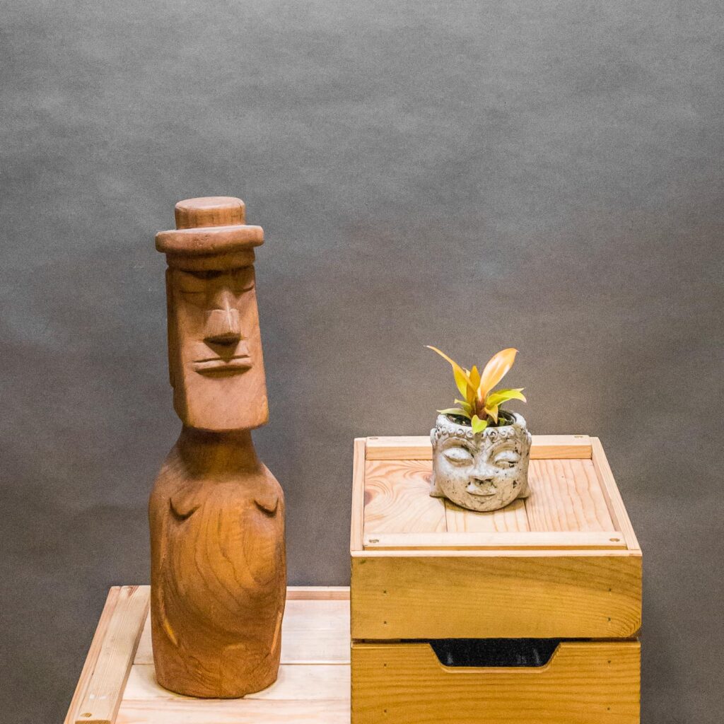 Philodendron Prince of Orange 6cm