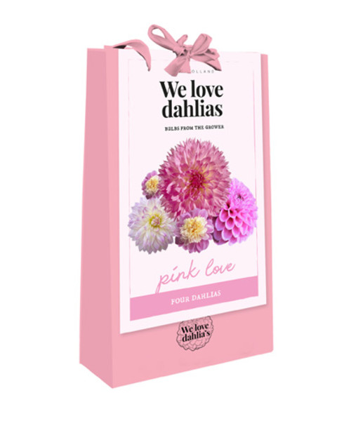 We love Dahlias Pink Love