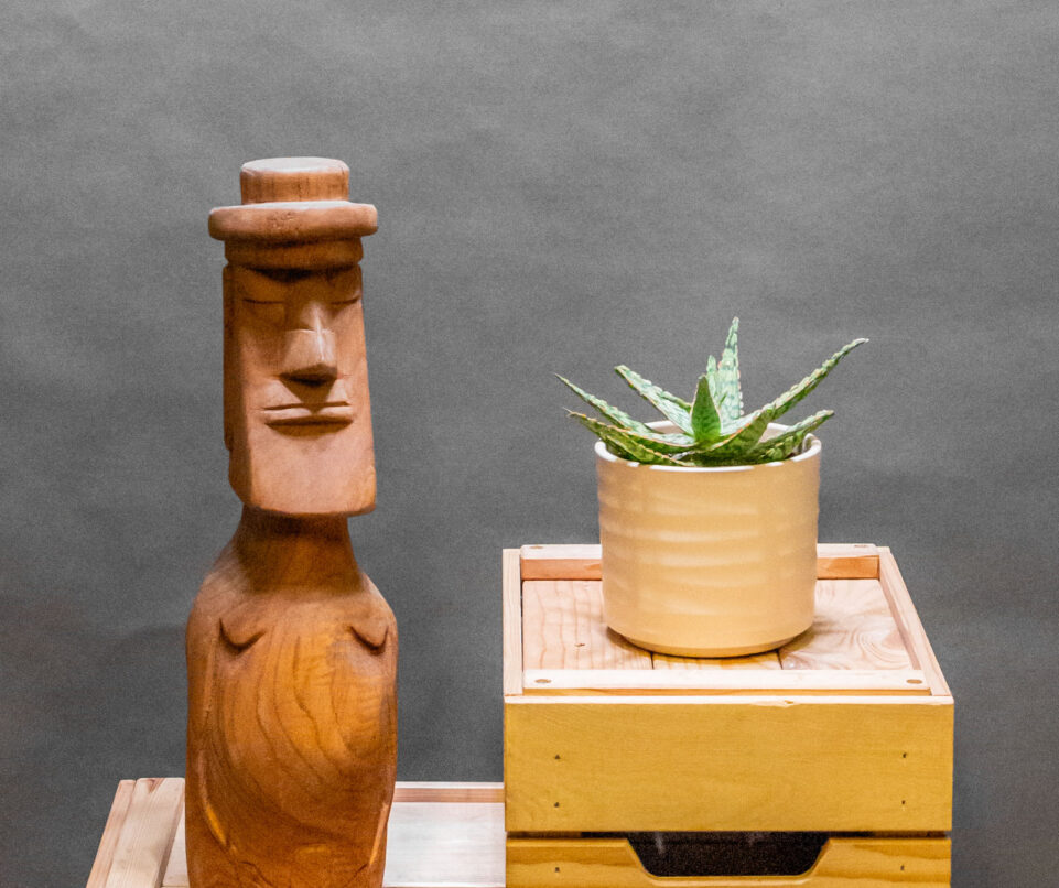 Aloe Starfire Carola 10cm