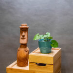 Wasabi Japonica 12cm