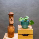 Wasabi Japonica 12cm