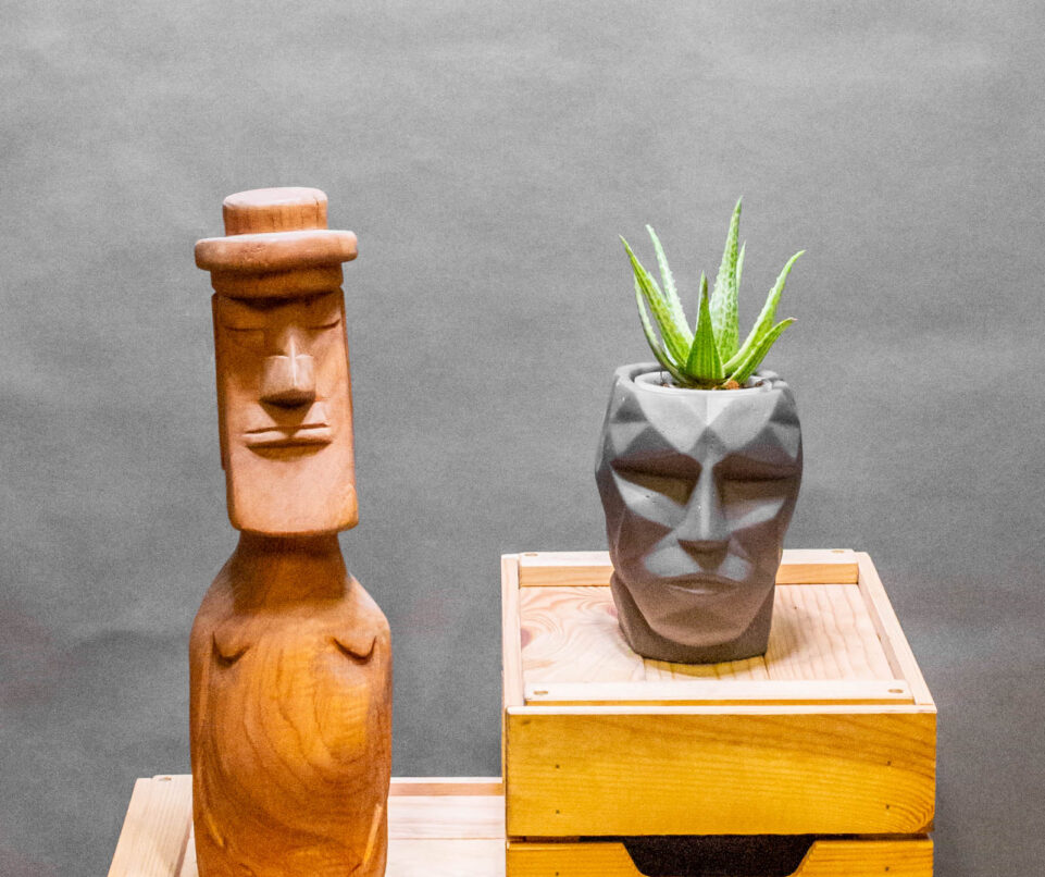 Aloe Vera Variegata small form 8cm