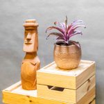 Cordyline Strawberry Queen 12cm