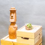 Tillandsia Eric Knobloch