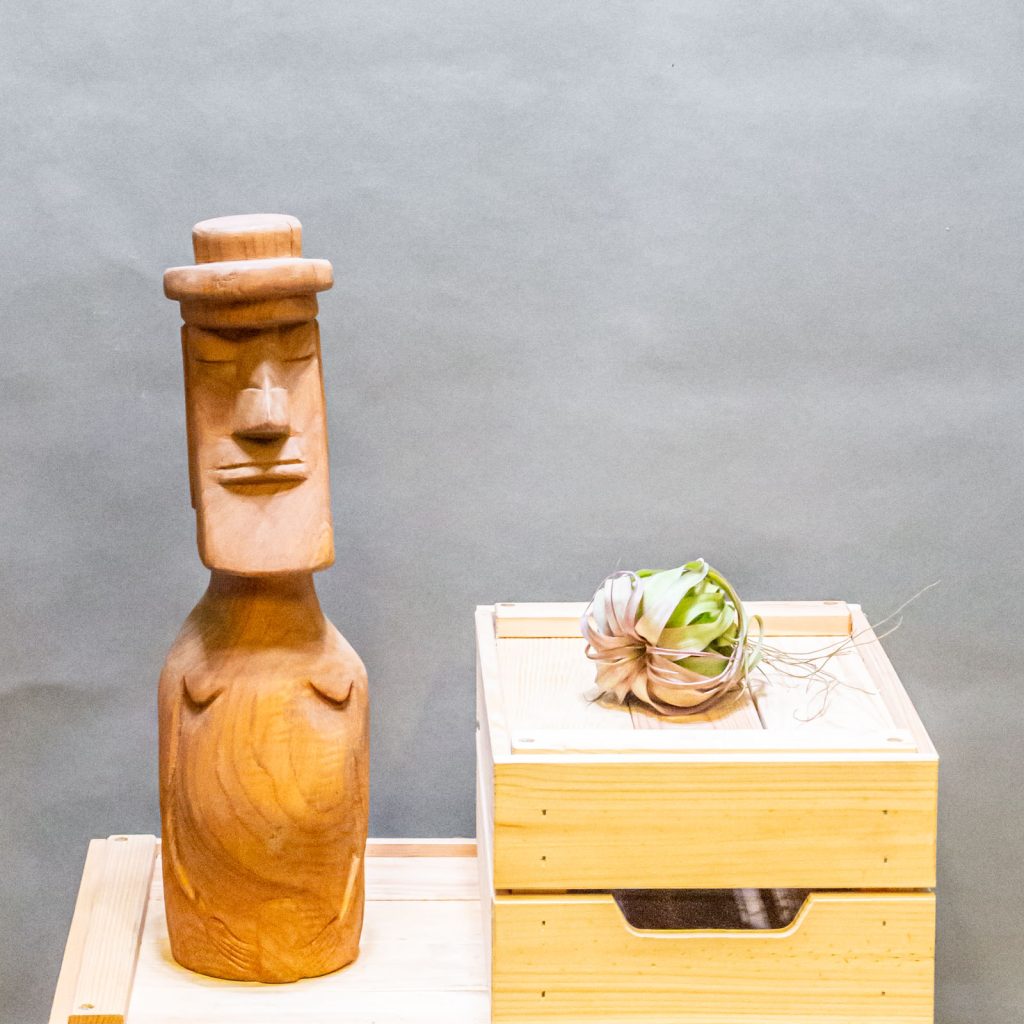 Tillandsia Eric Knobloch