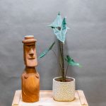 Alocasia Zebrina 12cm