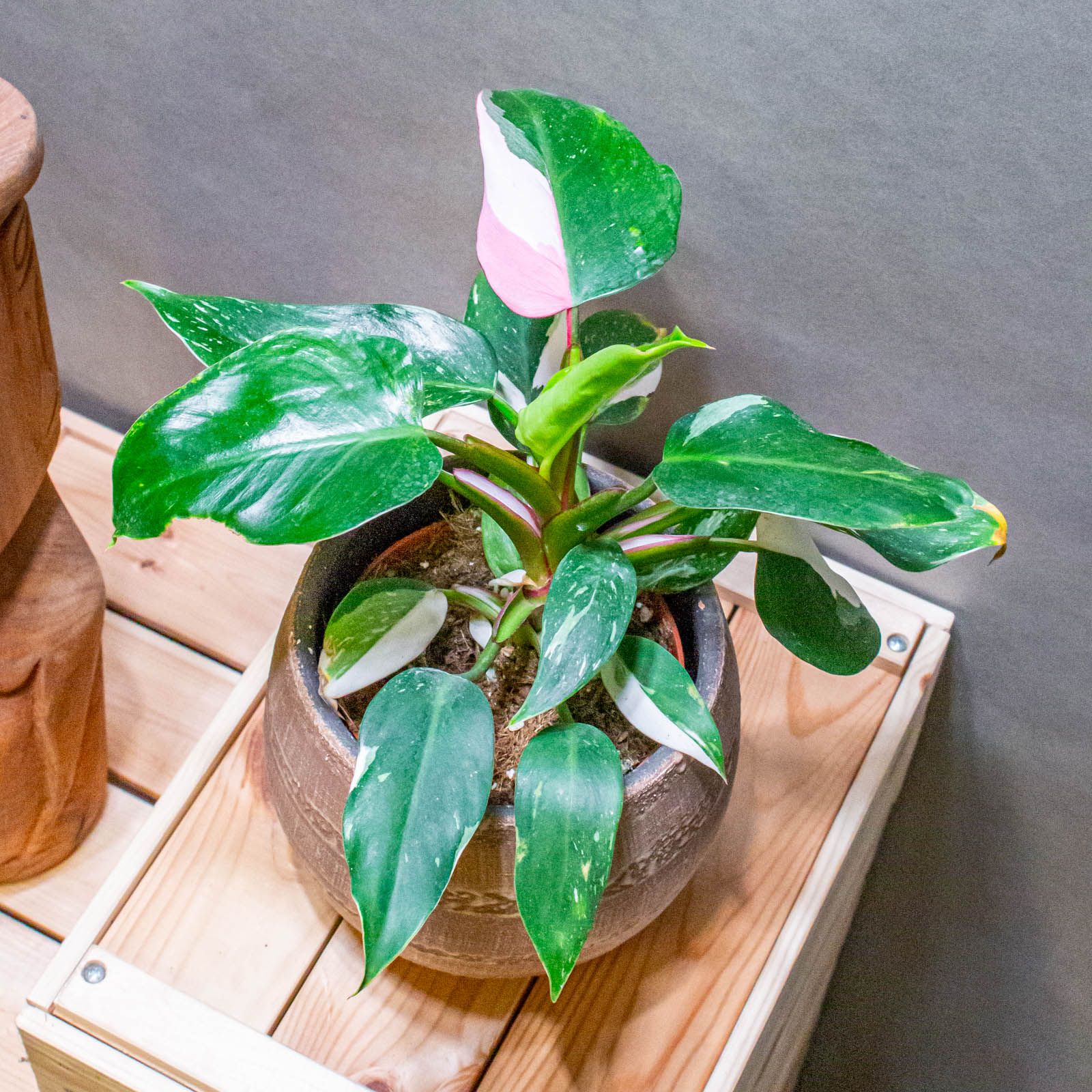 ferm living plant box alternative Plant Box